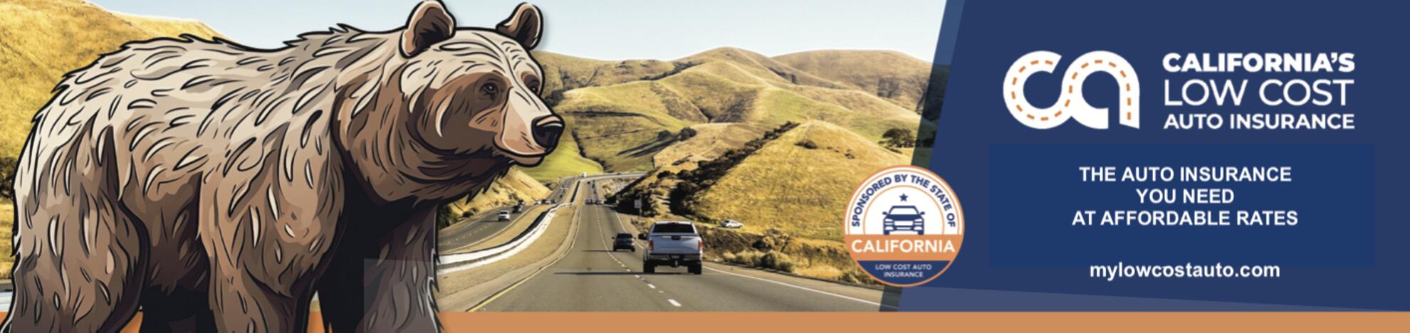 CDI Banner